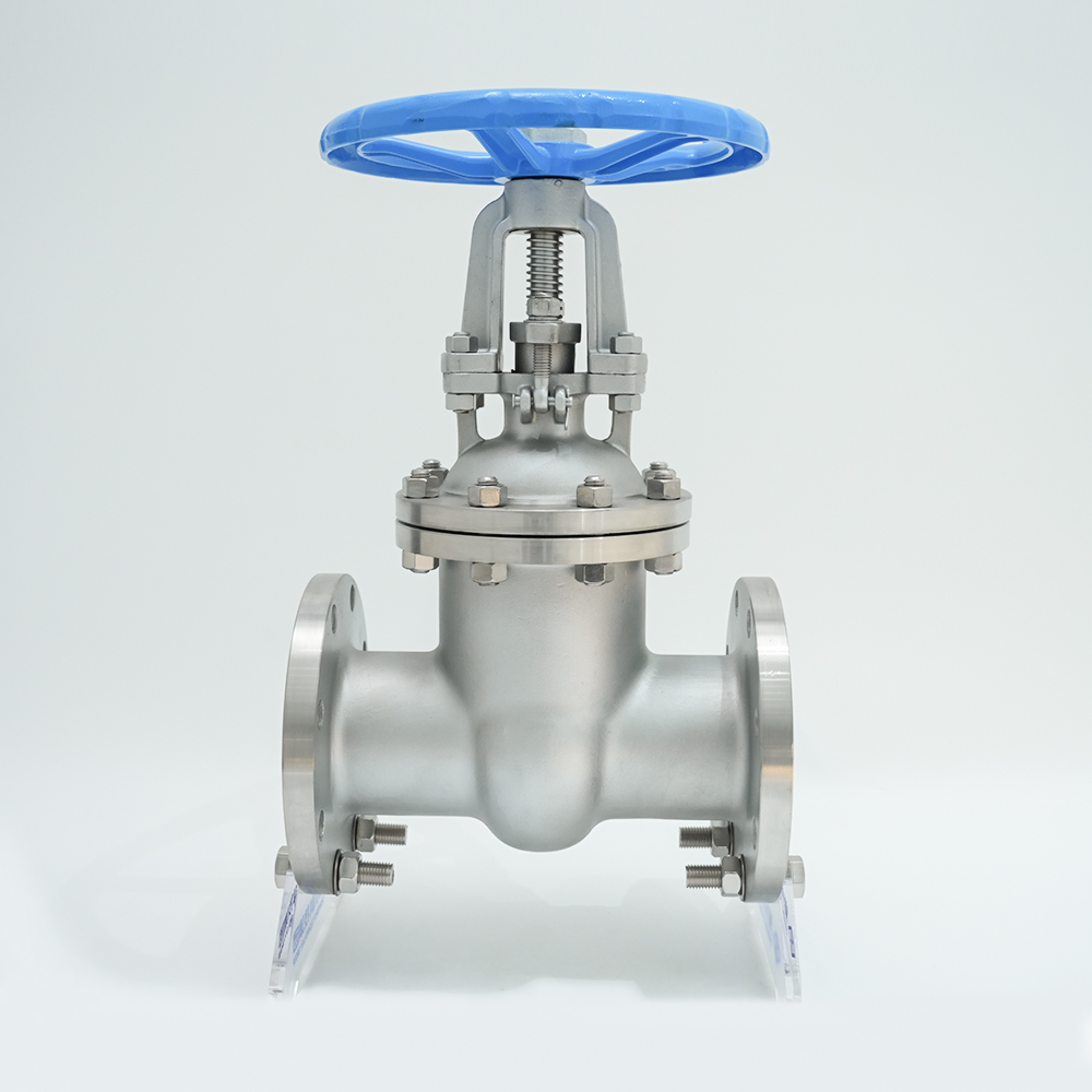 Zasun s prirubnicom od nehrđajućeg čelika Z41W-16P