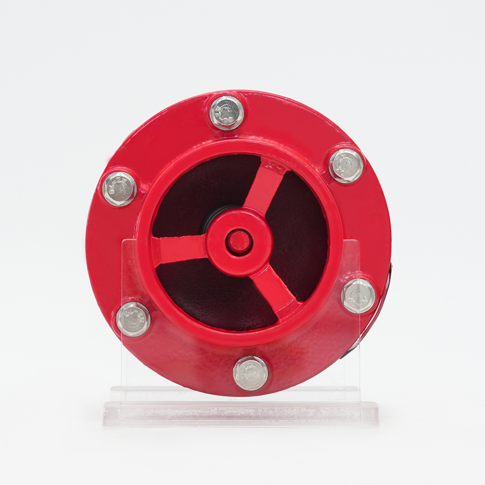 Nepovratni ventil prigušivača s žljebovima GHC41X-16Q